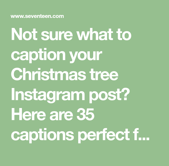 Caption For Christmas Selfie - Caption Mania