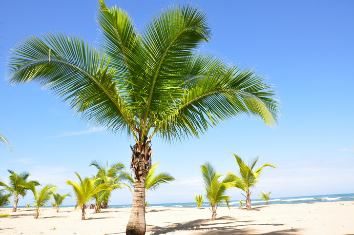 Puerto Viejo de Talamanca sur la cote des Caraibes
