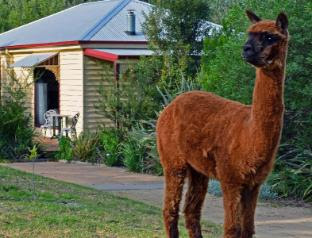 Araluen Park Cottages Lakes Entrance