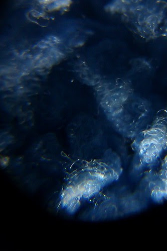 IMAG0729