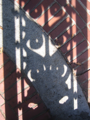 Shadow _ 8874