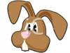 rabbit teeth