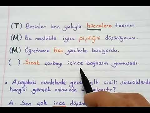 7 sınıf türkçe test eğitimhane