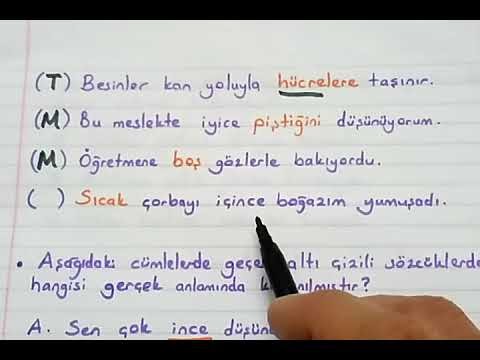 Eğitimhane 4 Sınıf Türkçe Eş Sesli Kelimeler - WRHS