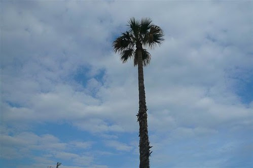P1260658