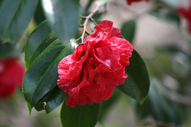 IMG_0715 (640x427, 109Kb)