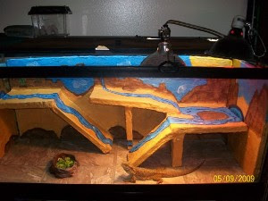 Bearded Dragon Cage Decoration Ideas Happy Living
