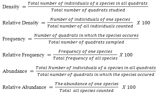 How to calculate relative abundance ecology