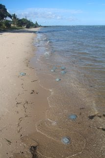 Beachmere waterfront