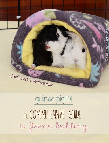 flea tick and wormer all in one for dogs