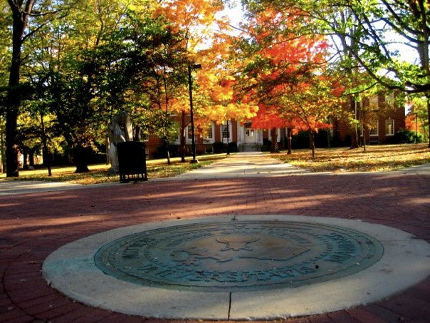The Hub- Miami University - Lux