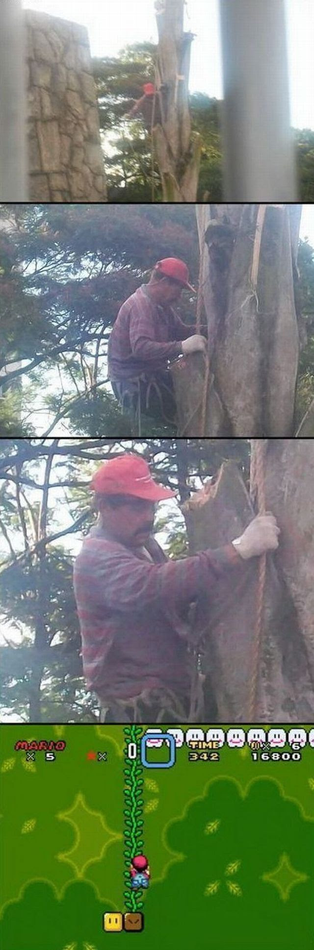Daily Picdump Daily Picdump