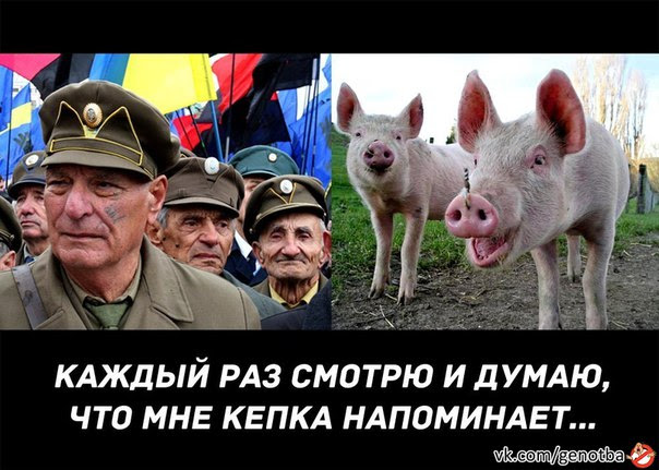 Похожее изображение