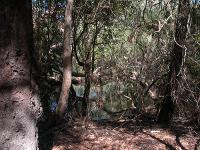 Free Image Hosting at www.ImageShack.us