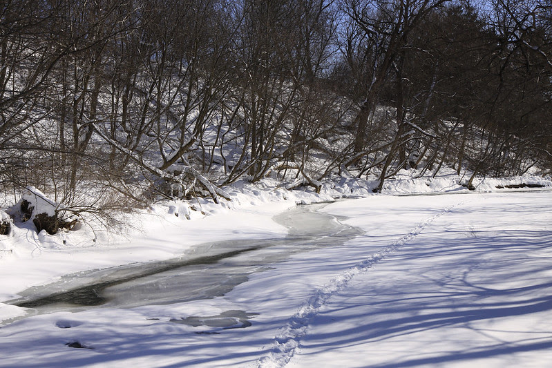 iced over creek2