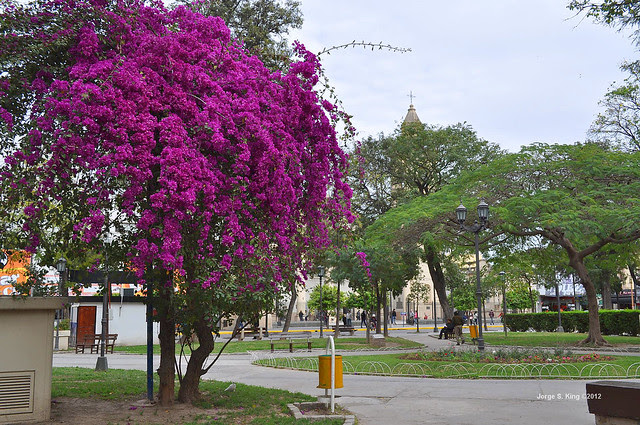 Santa Rita