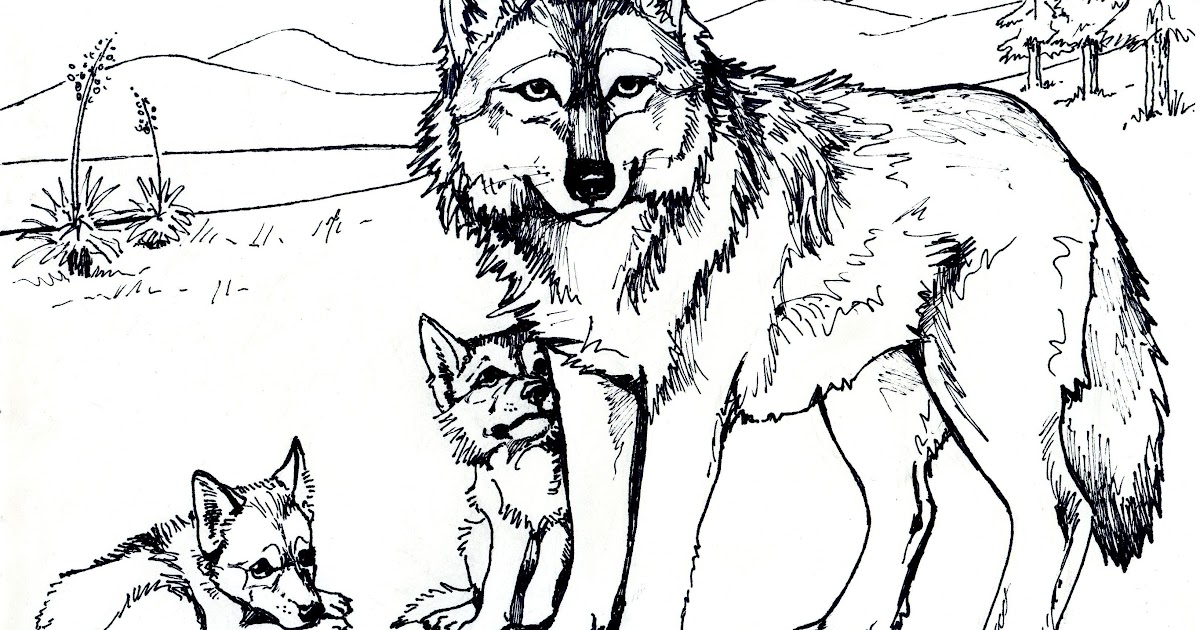 Wolf Free Coloring Pages For Adults - Make Wonderful World With Coloring