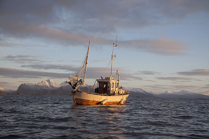 GeoGarage blog: On the trail of sea urchins in the Arctic Circle