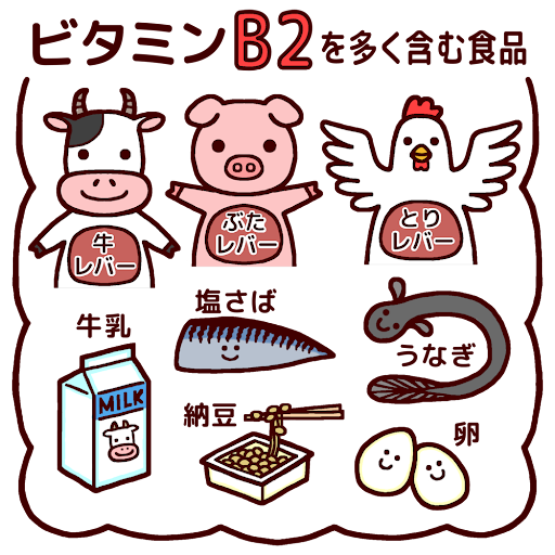 ビタミンB2を多く含む食品(カラー)/給食の無料イラスト/生活/学校素材