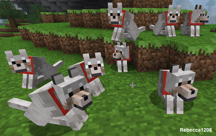 最高のマインクラフト エレガントマイクラ 犬 たぬき 動画