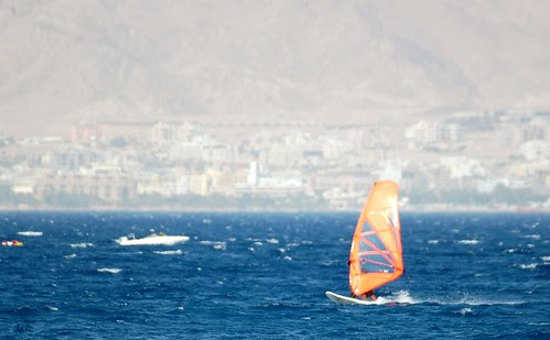 random windsurfer