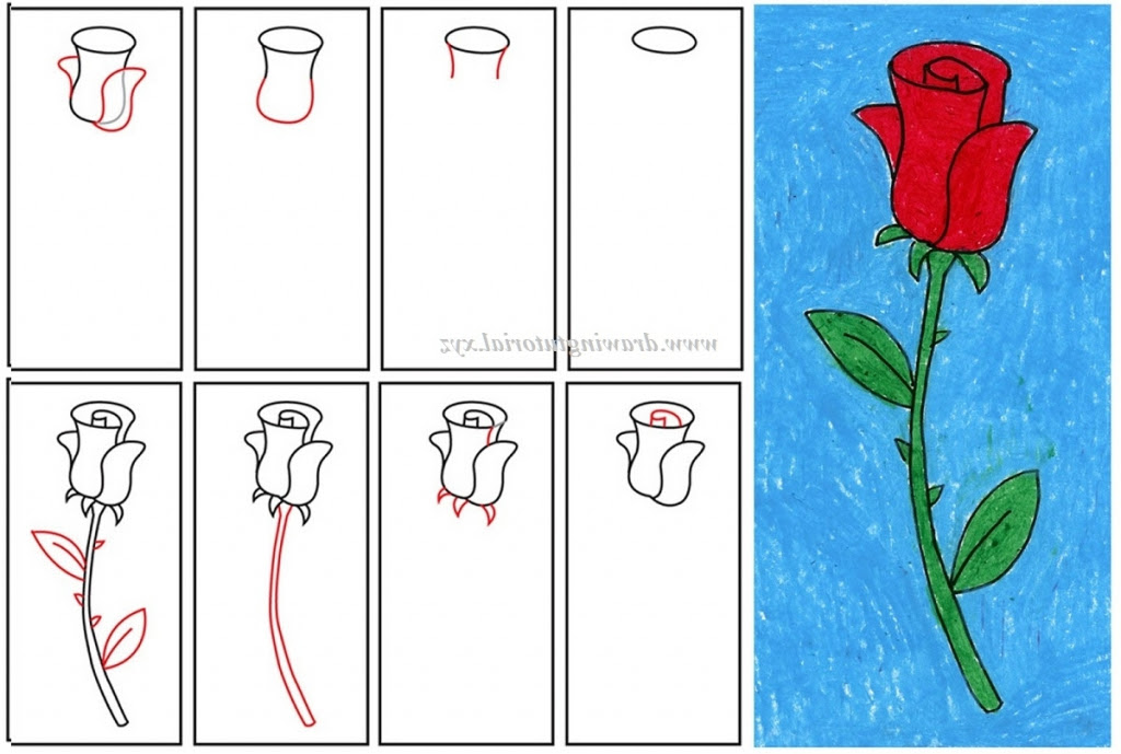 Marigold Flower Drawing Step By Step / This will be the bud of your