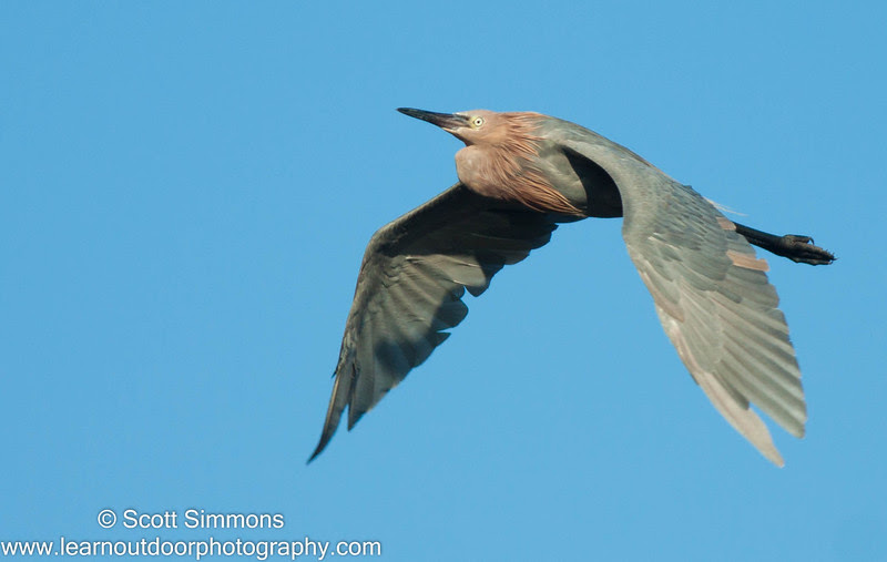 Photo & Video Sharing by SmugMug Photo & Video Sharing by SmugMug