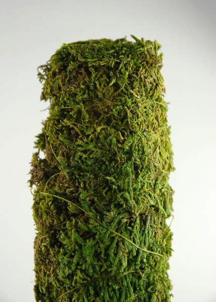 Moss Covered Pole 18" x 2" Moss Covered Pole 18" x 2"