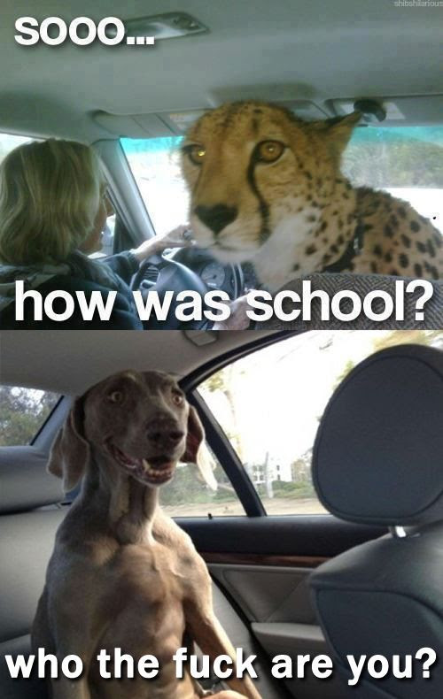 Acid Picdump (88 pics) Acid Picdump (88 pics)