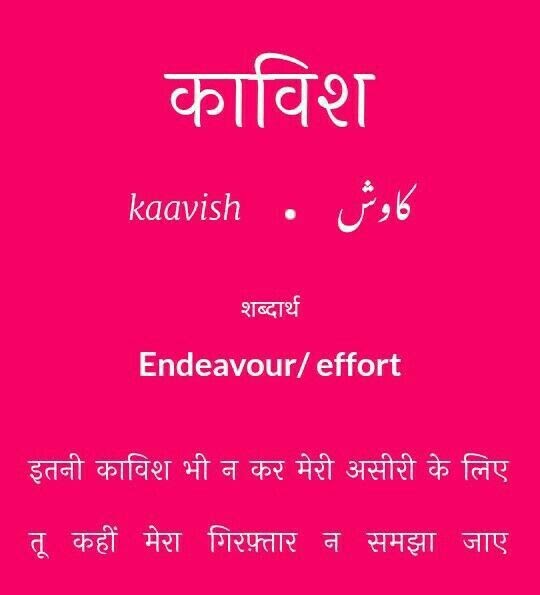 Endeavour Meaning In Urdu And In English - MEANONGS