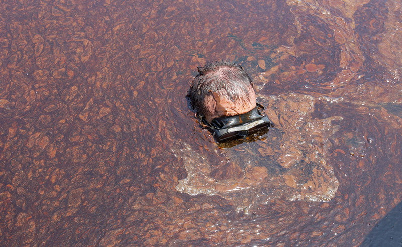 Scenes from the Gulf of Mexico