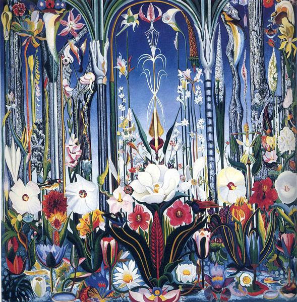 Flowers, Italy - Stella Joseph