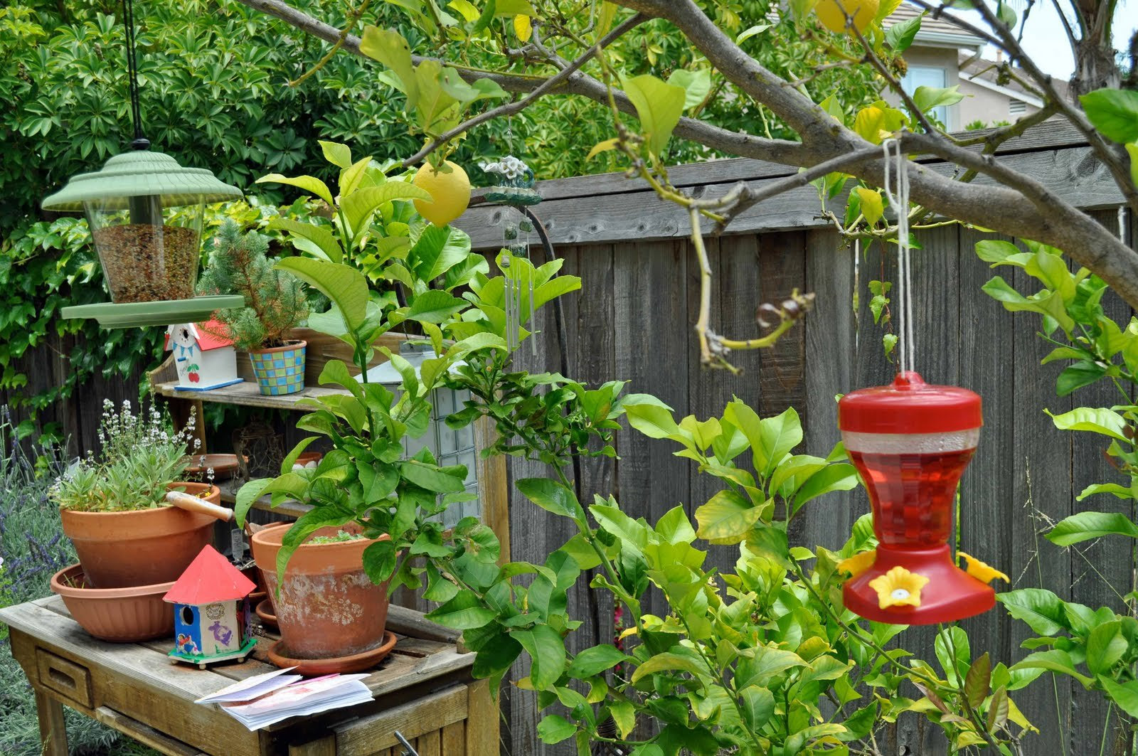 popular-how-to-build-a-bird-feeding-house-jak-penda