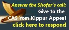 Yom Kippur Appeal