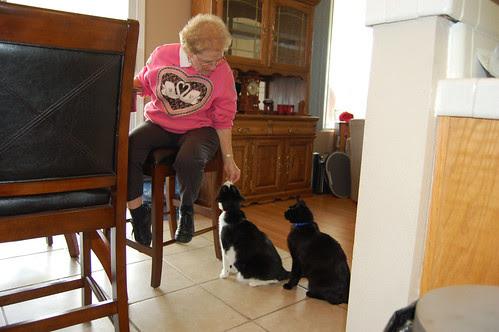 Treats!!!