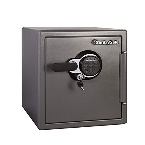 Fire safe sentry review sentrysafe big bolts 1 hour fireproof 24