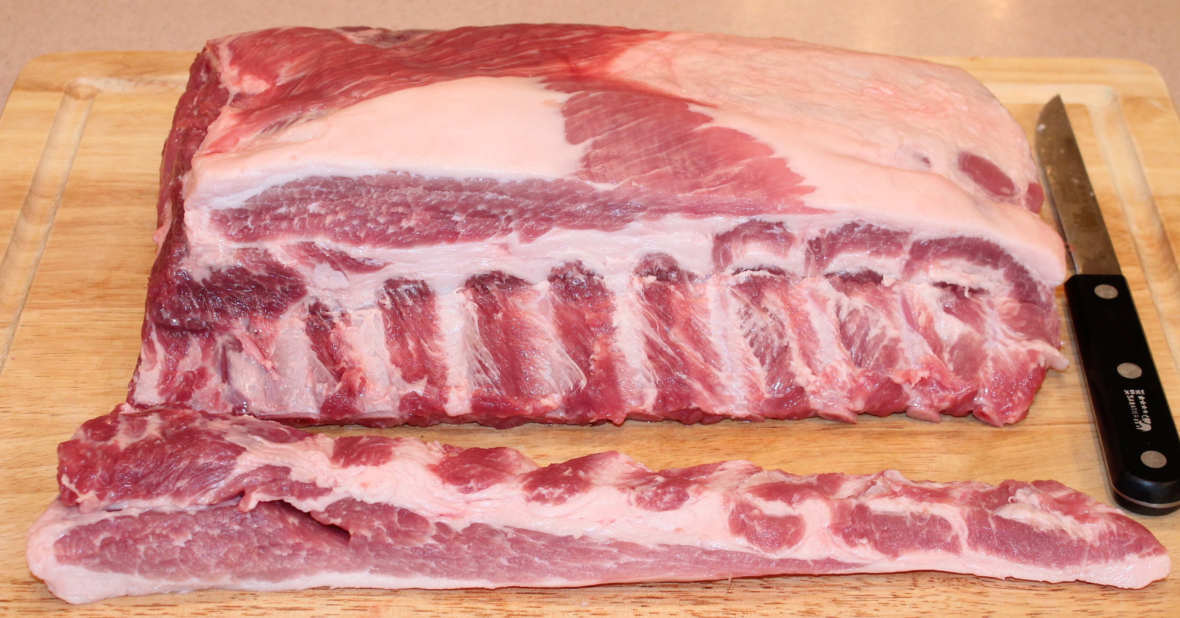 Closely Trimmed Bones Of Beef Or Pork - Beef Poster