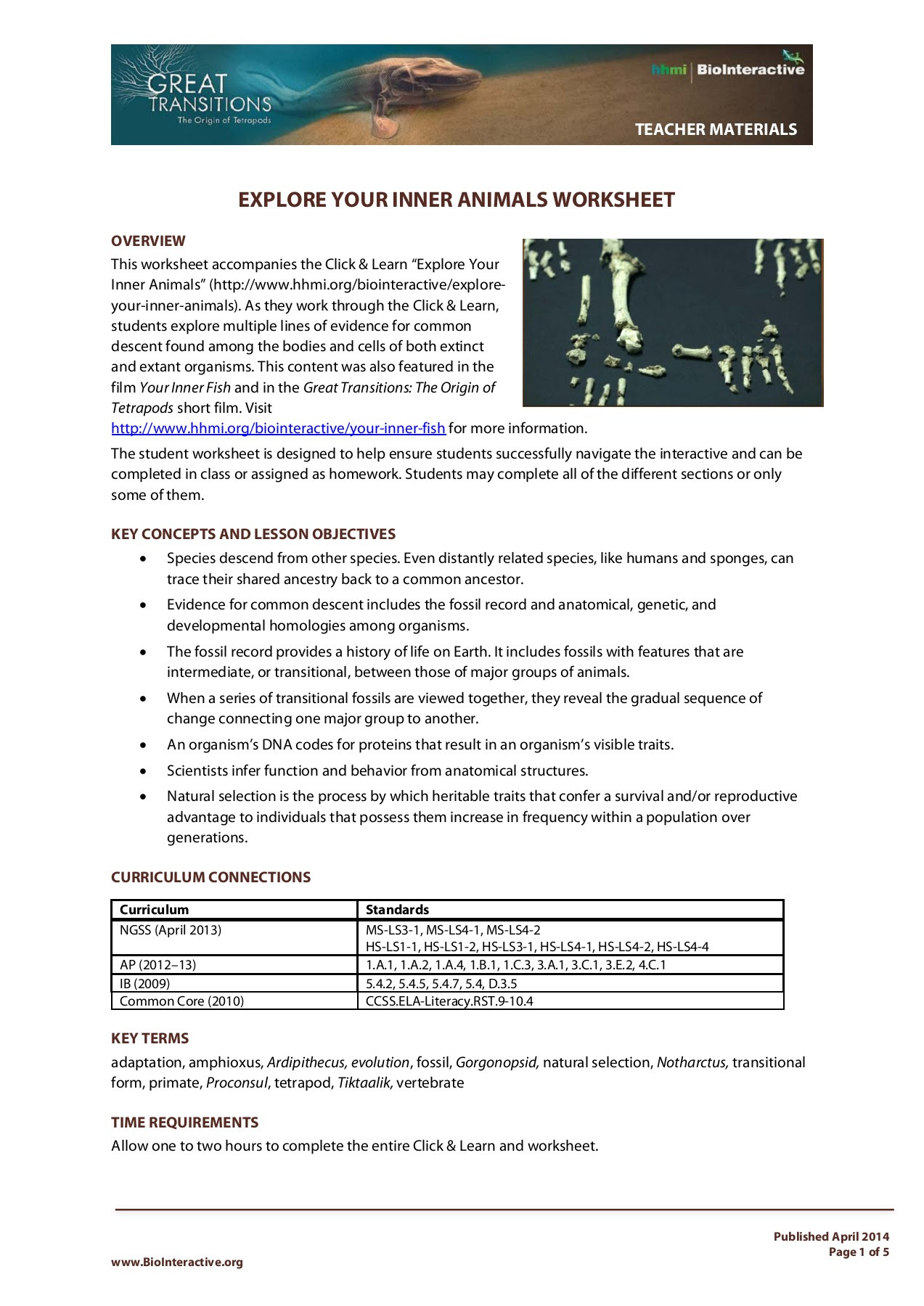 Your Inner Monkey Worksheet Answers - Ivuyteq