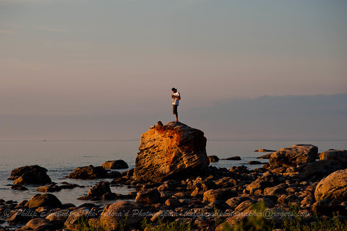 Lonely Perch