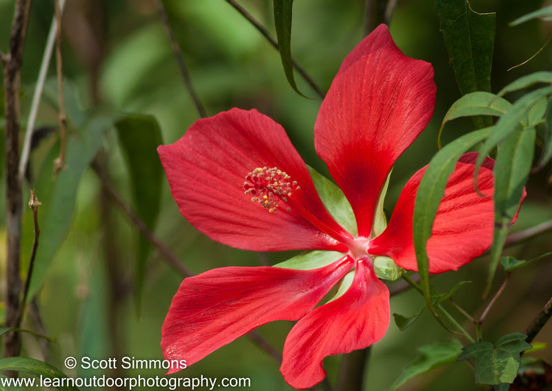 Photo & Video Sharing by SmugMug Photo & Video Sharing by SmugMug