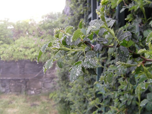 2012 05 19_Alice Sousa44