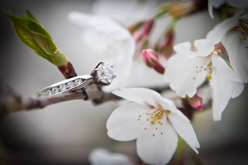 engagement photography