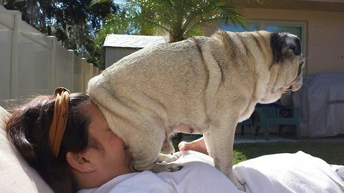 Top 15 - Imagens que deveriam ser excluidas da internet Top 15 - Imagens que deveriam ser excluidas da internet