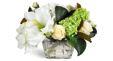 Aptos, CA Furniture and Accessories Manufacturers, Showrooms and