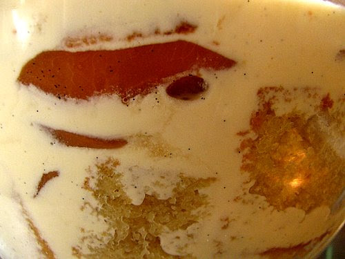 trifle close up