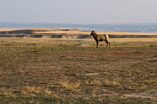 South Dakota Badlands