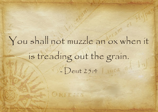 What Does “Do Not Muzzle The Ox” Mean In The Bible? A Biblical Definition | Jack Wellman