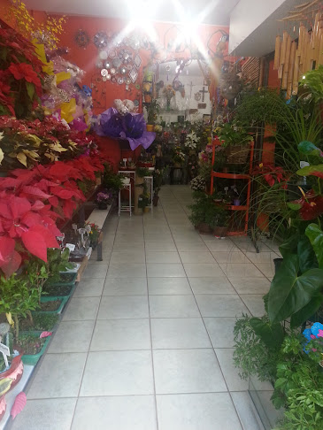 Avaliações sobre Chaparral em São Paulo - Floricultura