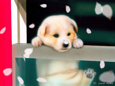 [最も選択された] 犬 可愛い 壁紙 216867-可愛い 犬 壁紙 無料