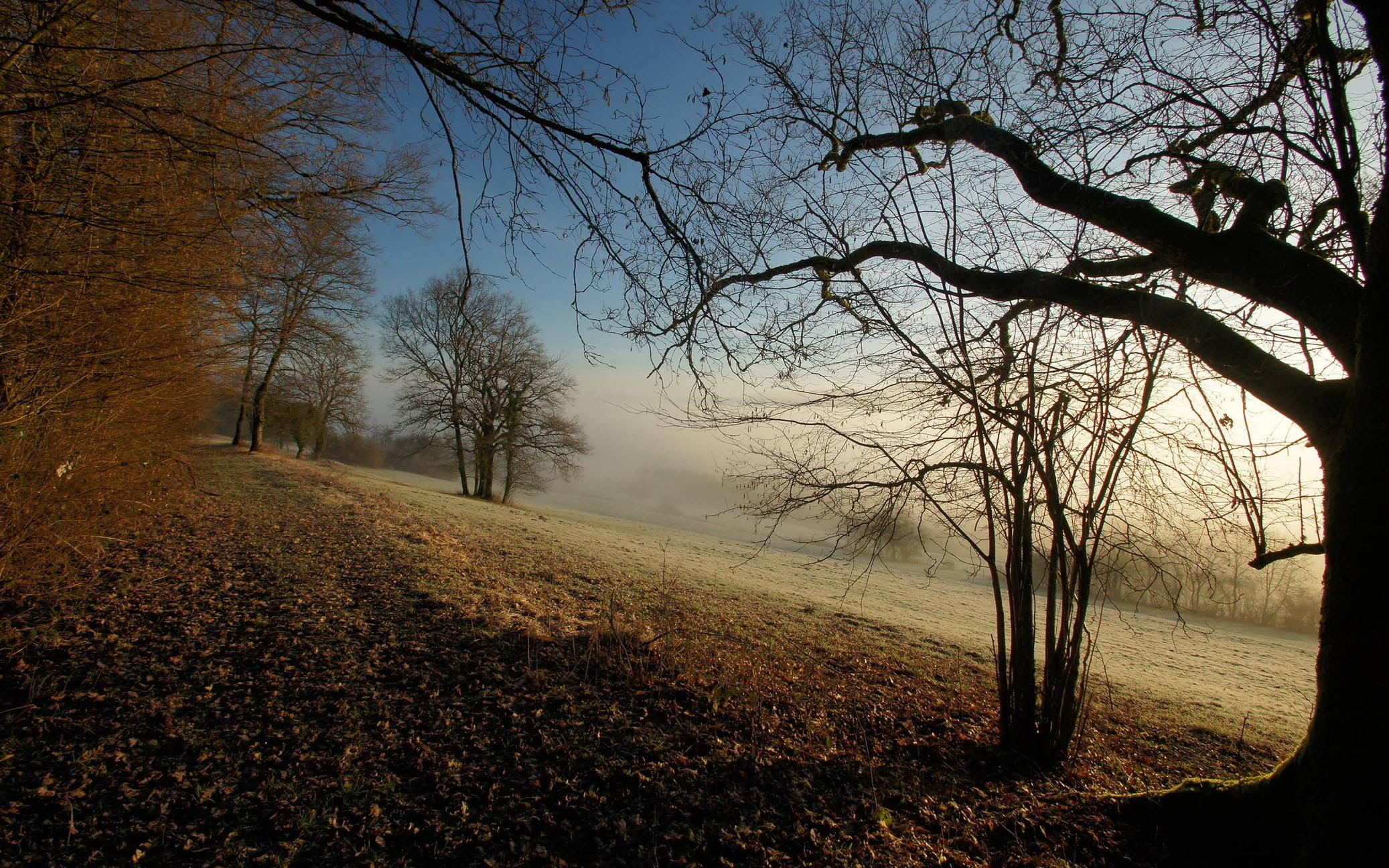 Photo Collection: autumn wallpapers